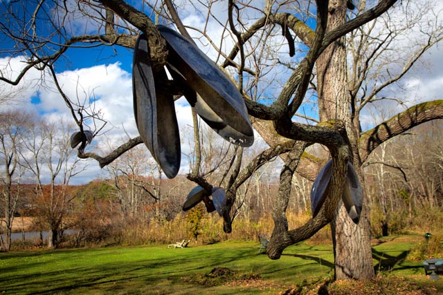 Hanging mussel shells at The Bee and Thistle Inn