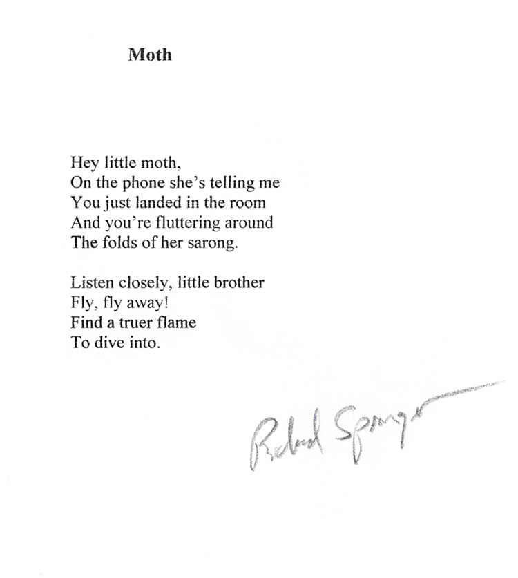 Moth by Richard Springer