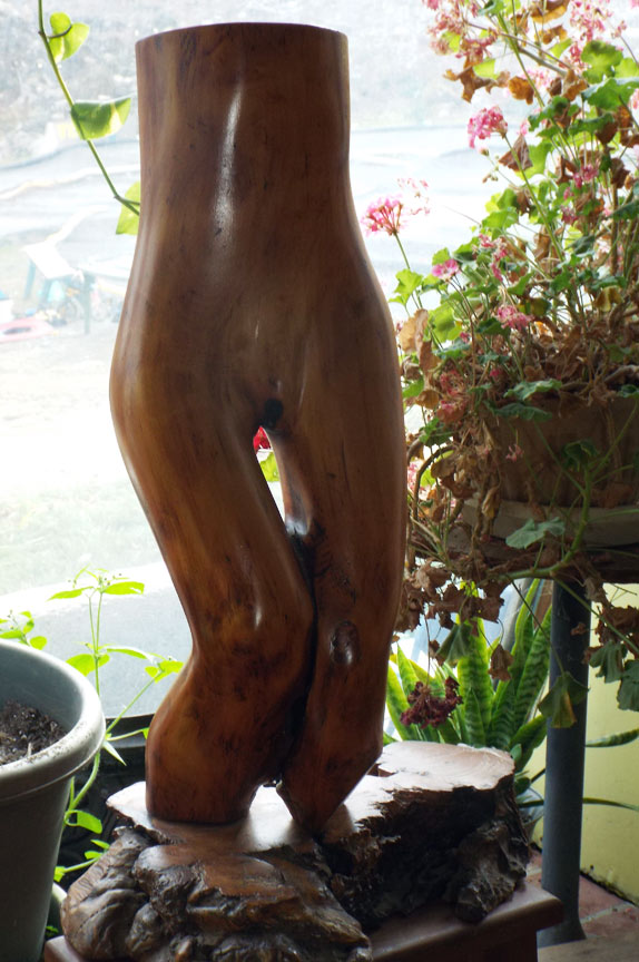 Wood Nymph and Diver
