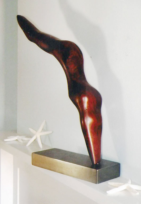 Vulte Diver